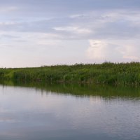 Вечер. :: сергей ермошкин