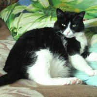 Не мешайте мне отдыхать :: Людмила Смородинская