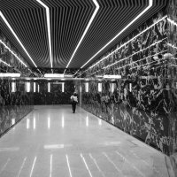 * :: Светлана Воробьева