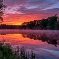 Утренняя заря :: Лариса С.