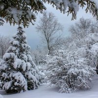 Зимняя сказка :: Оксана Новик 