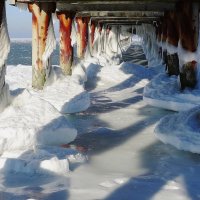 Зимние картинки :: Рита Симонова Зимние картинки :: Рита Симонова