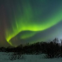 Полярное сияние в виде яркой извивающейся зеленой змейки, движущейся по вечернему небосводу :: Николай Зиновьев