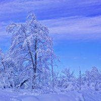 Новогоднее утро---04 :: Владимир Холодный