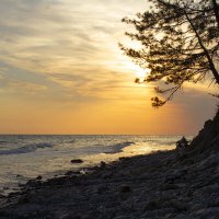 Закат. :: Александр. AVG100 ---