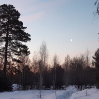 Лунные истории :: Галина Минчук