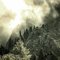 ТУМАН :: HART BAD