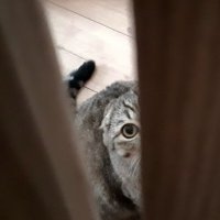 А я вас нашел! :: светлана льдокова