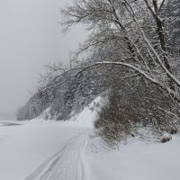 Утро :: Радмир Арсеньев