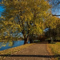 Ноябрьские мотивы... :: Николай Гирш