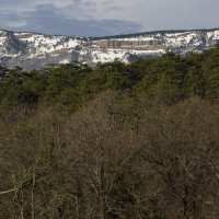 *** :: Елена Агеева