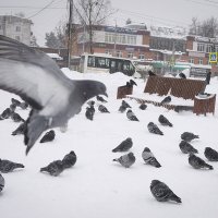 Без названия :: Владимир Носов