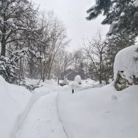 Зимой в Москве. :: ИРЭН@ . Зимой в Москве. :: ИРЭН@ .