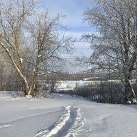 Редкий луч солнца :: Татьяна Редкий луч солнца :: Татьяна