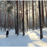 *** :: Aleksandr Gal *** :: Aleksandr Gal