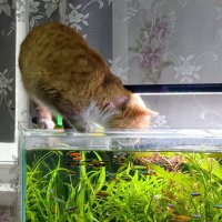 Охота на рыбок :: Мариша Охота на рыбок :: Мариша