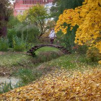 Мостик в осень... :: Лилия *