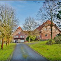 ДОРОГА К ДОМУ... :: Elvira E. 