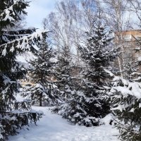 Опять метель :: Венера Чуйкова