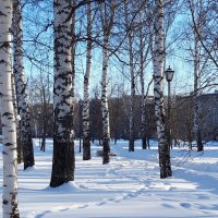 февраль :: Венера Чуйкова февраль :: Венера Чуйкова