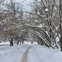 Зимняя улица. :: Любовь 