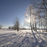 Б/Н :: Николай 