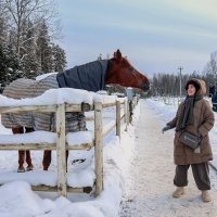 Человек и лошадь :: skijumper Иванов