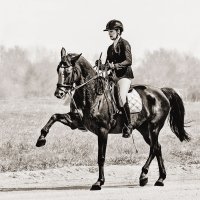 Выездка :: SanSan 