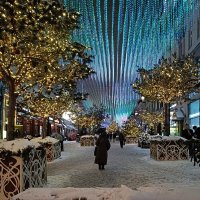 зима  в Москве :: Галина R...