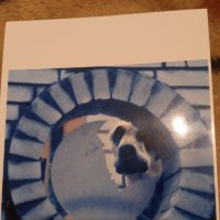 Не знаю как назвать без фотошопа не судите строго :: Александр Вадимович Crew smail