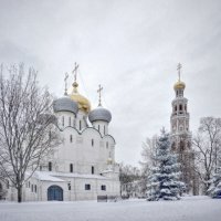 Новодевичий монастырь :: Andrey Lomakin