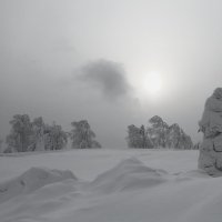 Снежные монстры наступают :: Лариса С.