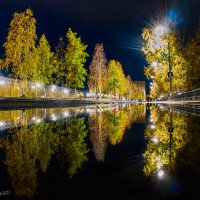 Ухта, отражения осени в обычной луже. :: Николай Зиновьев