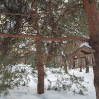 ***** :: юрий поляков