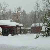 В парке Хуамин зима. :: ИРЭН@ .