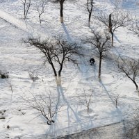 За окном :: Анатолий Чикчирный