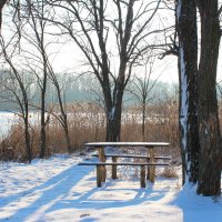 Зима. :: Александр. AVG100 ---