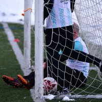 Мяч в воротах. :: Наталья Вязигина