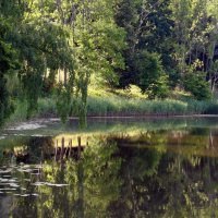 Гуляя по берегу озера :: В.И Гуляя по берегу озера :: В.И