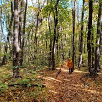 В осеннем лесу :: Надежда 