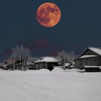 Лунная ночь в деревне :: Наталья *** Лунная ночь в деревне :: Наталья ***