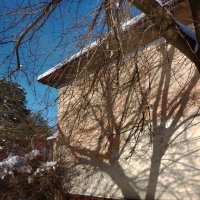 *** :: Валентина Береснева *** :: Валентина Береснева