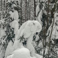 Зайчик? :: Galina Зайчик? :: Galina