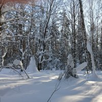 встреча :: Владимир 