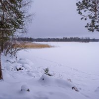 Снежный январь. :: Олег Бабурин