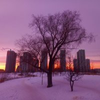 Закат :: Сапсан Закат :: Сапсан