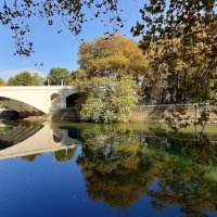 р.Сочи :: Tata Wolf