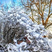 В парке :: Veera V