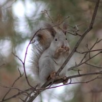 А вы так сможете? :: Любовь Сахарова