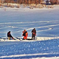 Февральская рыбалка на Юганской Оби. :: Владимир 